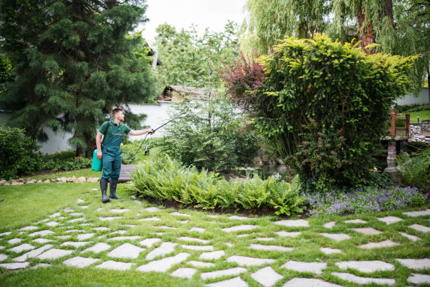Best Mosquito Control Services  in Security Widefield, CO