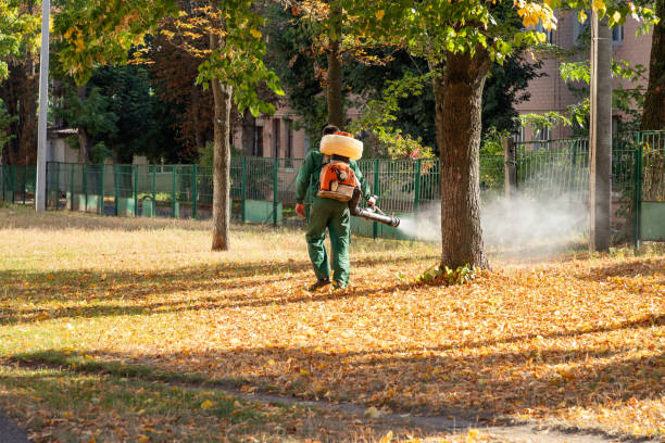 Reliable Security Widefield, CO Pest Control Solutions